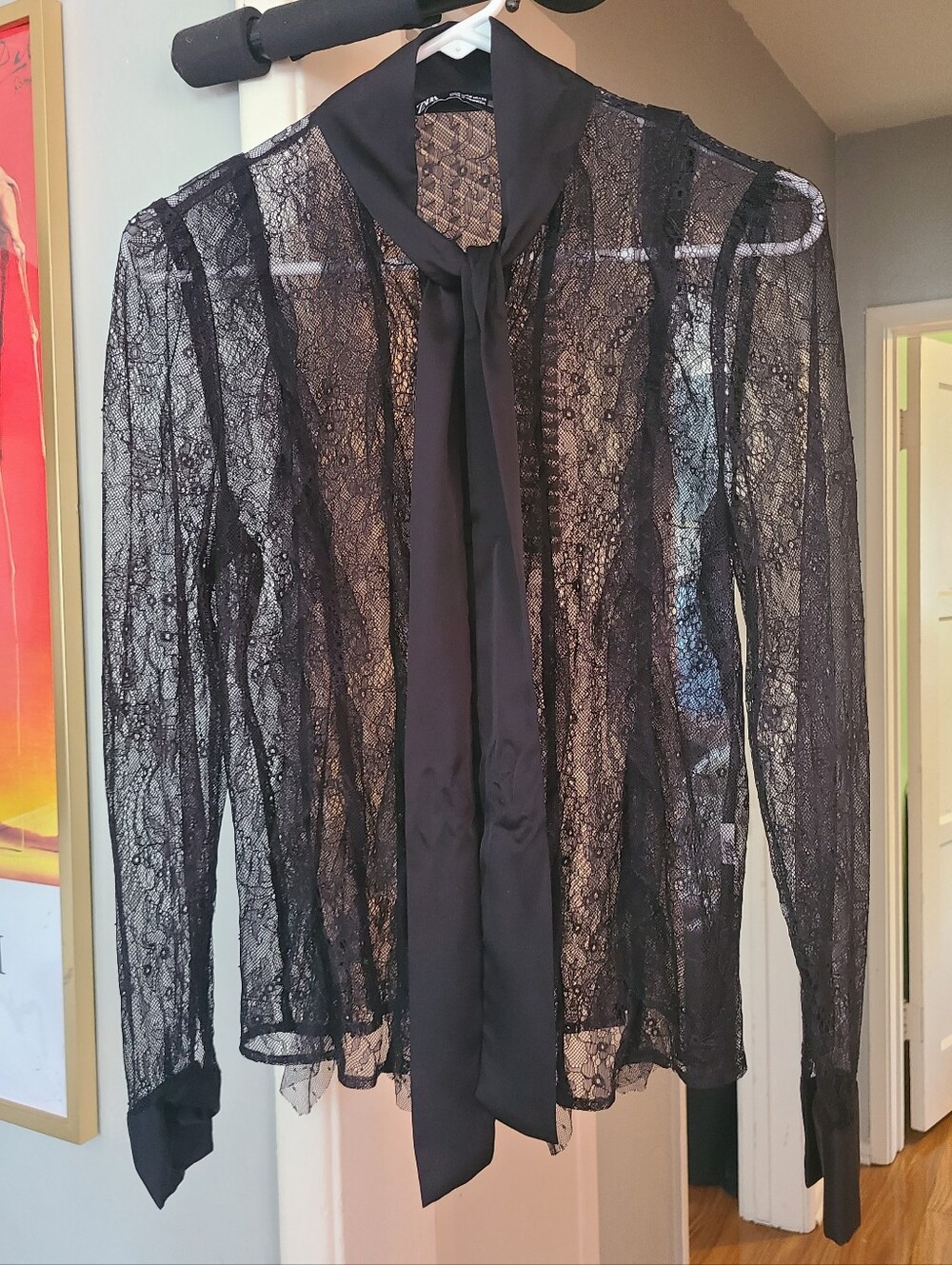 Zara Black Sheer Lace Tie-Neck Blouse